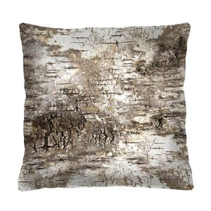 Bertoni Home Unisex's Square Pillow Brzoza obraz