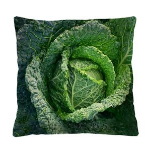 Bertoni Home Unisex's Square Pillow Cabbage obraz