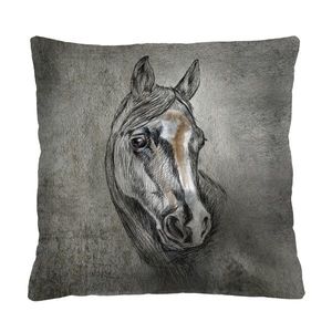 Bertoni Home Unisex's Square Pillow Lord obraz