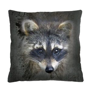 Bertoni Home Unisex's Square Pillow Racoon obraz