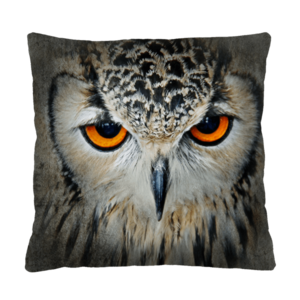 Bertoni Home Unisex's Square Pillow Sybilla obraz