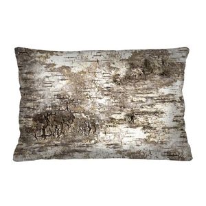 Bertoni Home Unisex's Rectangular Pillow Brzoza obraz