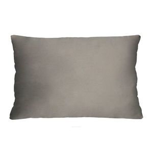 Bertoni Home Unisex's Rectangular Pillow Elegance obraz