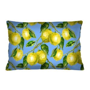 Bertoni Home Unisex's Rectangular Pillow Lemons obraz