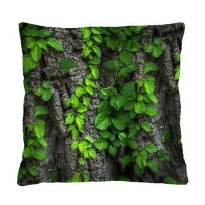 Bertoni Home Unisex's Square Pillow Creeper obraz