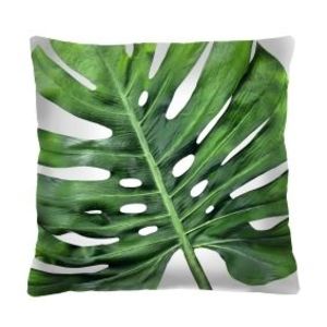 Bertoni Home Unisex's Square Pillow Galapagos Day obraz