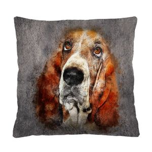 Bertoni Home Unisex's Square Pillow Fred obraz