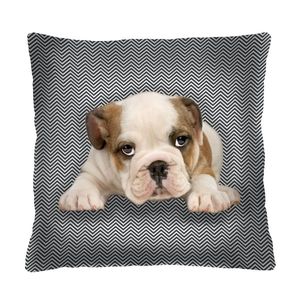 Bertoni Home Unisex's Square Pillow Niunio obraz