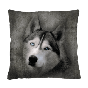 Bertoni Home Unisex's Square Pillow Husky obraz