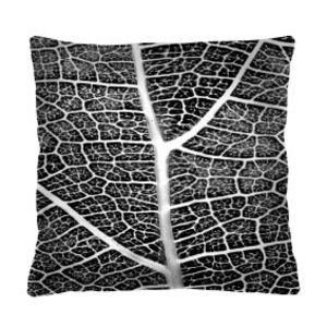 Bertoni Home Unisex's Square Pillow Tkanka obraz