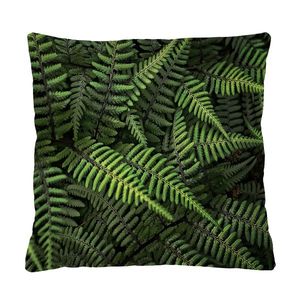 Bertoni Home Unisex's Square Pillow Paprocie obraz