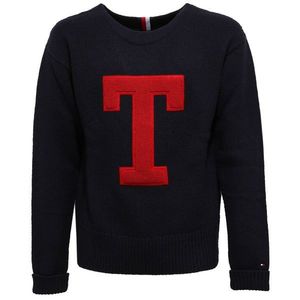 Tommy Hilfiger Sweater - VINTAGE INSPIRED OVERSIZED CNECK blue obraz