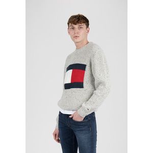 Tommy Jeans Sweater - TJM TOMMY FLAG SWEATER light grey obraz