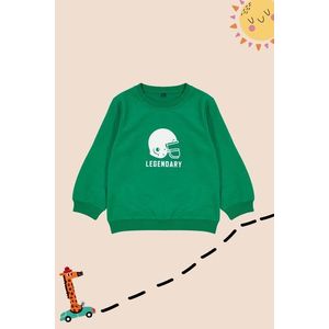 Trendyol Green Boy Patterned Knitted Sweatshirt obraz