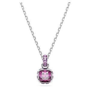 Swarovski Slušivý náhrdelník pro ženy narozené v únoru Birthstone 5651708 obraz