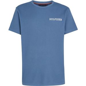 Tommy Hilfiger Pánské triko Regular Fit UM0UM03116-C4Q XXL obraz