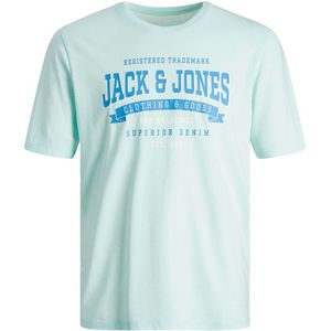 Jack&Jones Pánské triko JJELOGO Standard Fit 12246690 Soothing Sea S obraz