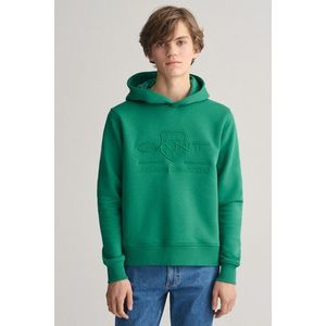 MIKINA GANT TONAL AS HOODIE WILD GREEN obraz