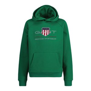 Green hoodie obraz