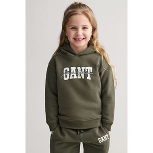 MIKINA GANT GANT ARCH SCRIPT HOODIE JUNIPER GREEN obraz