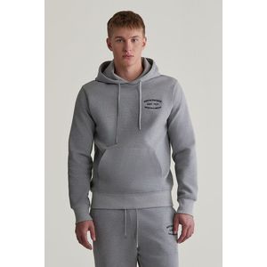 MIKINA GANT SMALL GRAPHIC SWEAT HOODIE GREY MELANGE obraz