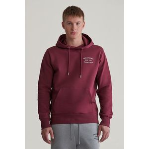 MIKINA GANT SMALL GRAPHIC SWEAT HOODIE WINE RED obraz