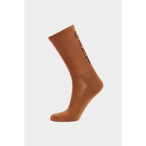 PONOŽKY GANT LOGO SPORT SOCKS CINNAMON BROWN obraz