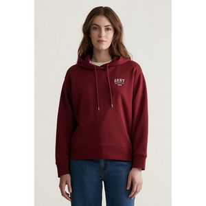 MIKINA GANT SMALL GRAPHIC HOODIE PLUMPED RED obraz