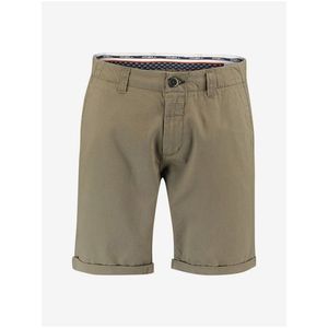 Khaki pánské kraťasy O'Neill LM STEVENS CHINO SHORT obraz