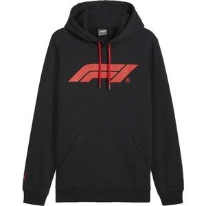 Puma F1 ESSENTIALS LOGO HOODIE Pánská mikina, černá, velikost obraz