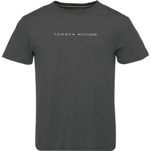 Tommy Hilfiger šedé pánské tričko SS Tee Logo obraz