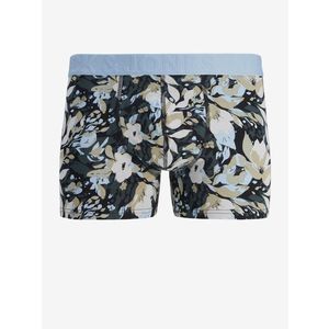 Jack & Jones Jonah Boxerky 3 ks Zelená obraz