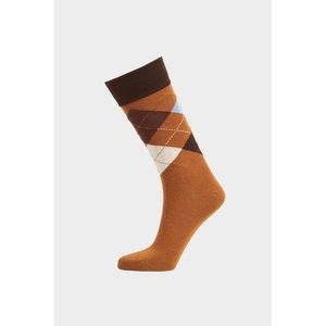 PONOŽKY GANT ARGYLE SOCKS MUSTARD BEIGE obraz