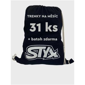 Sada 31 kusů pánských trenýrek dle vlastního výběru na měsíc Styx 31PACK obraz