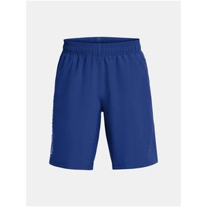 Chlapecké kraťasy Under Armour UA Tech Woven Wordmark Short obraz