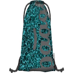 BAAGL Aquamarine Gymsack Modrá obraz