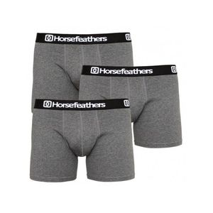 Horsefeathers Dynasty Boxerky 3 ks Šedá obraz