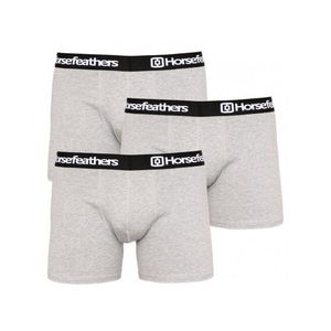 Horsefeathers Dynasty Boxerky 3 ks Šedá obraz