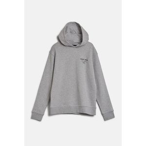 MIKINA GANT GRAPHIC SCRIPT RELAXED HOODIE LIGHT GREY MELANGE obraz