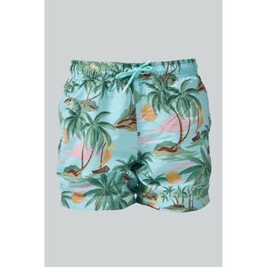 PLAVKY GANT HAWAII PRINT SWIM SHORTS TURQUOISE MIST obraz