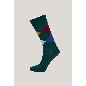 PONOŽKY GANT ARGYLE SOCKS DEEP FOREST obraz