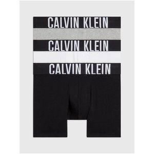 Sada tří pánských boxerek Calvin Klein obraz