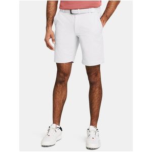 Světle šedé sportovní kraťasy Under Armour UA Tech Taper Short obraz