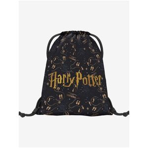 Modrý vak Baagl Harry Potter Pobertův Plánek obraz