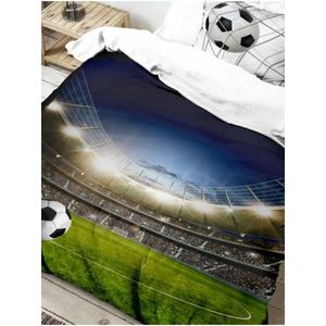 3D povlečení 140x200, 70x90cm Fotbal Kvalitex obraz