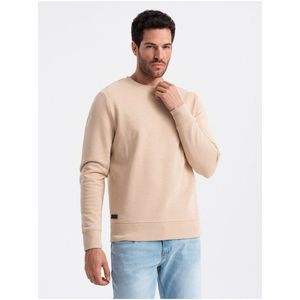 Pánská bavlněná mikina BASIC Ombre Clothing obraz