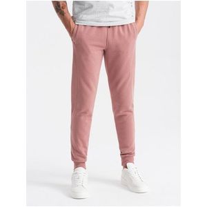 Pánské bavlněné tepláky BASIC jogger Ombre Clothing obraz