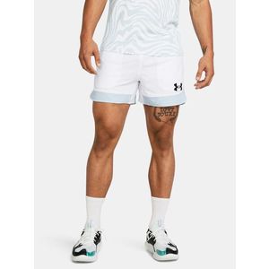 Under Armour UA Baseline 5in Kraťasy Bílá obraz