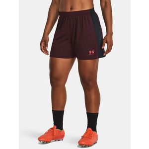 Under Armour UA W's Ch. Knit Šortky Červená obraz