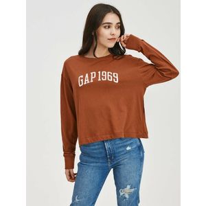 GAP 1969 Triko Hnědá obraz